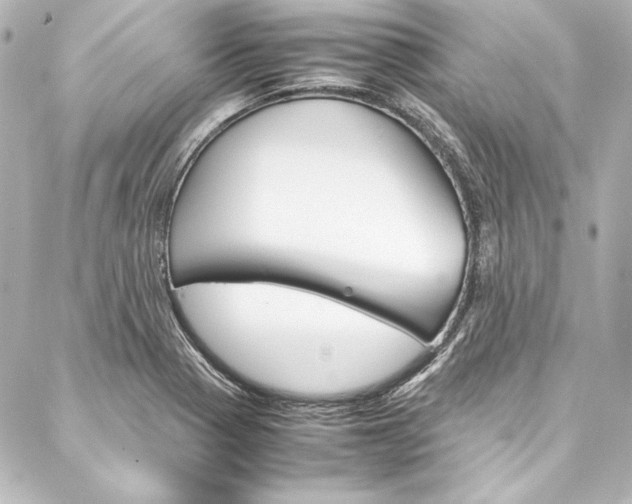 X0000088171321200705150941
