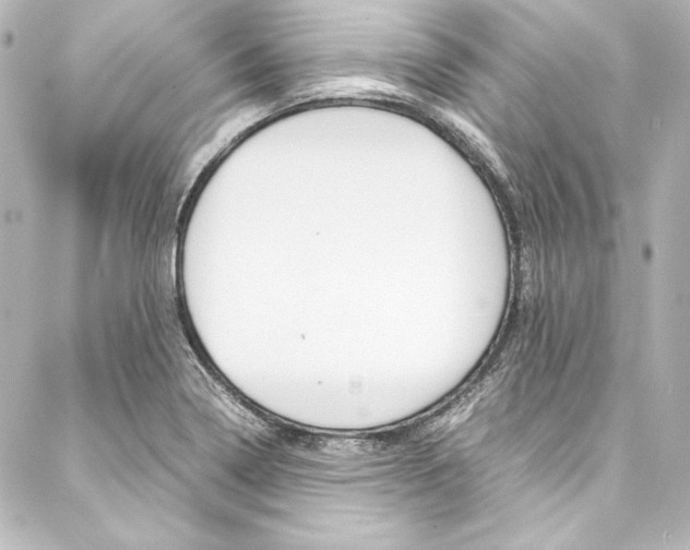 X0000088171322200705150941