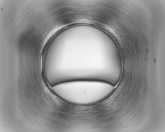 X0000088171323200705150941