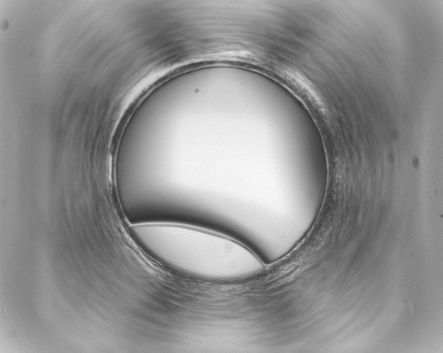 X0000088171324200705150941