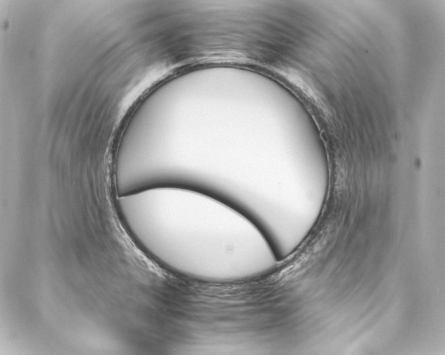 X0000088171325200705150941