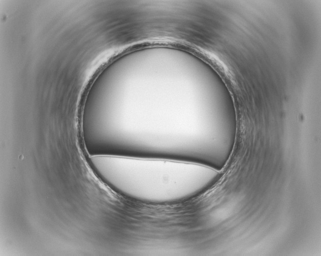X0000088171327200705150941