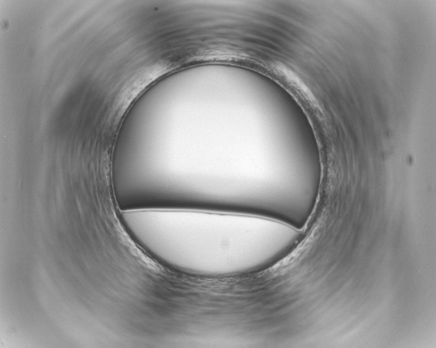 X0000088171329200705150941
