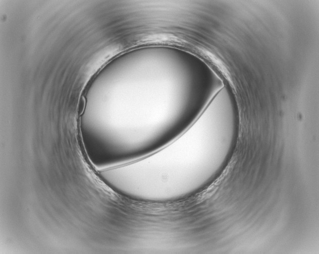 X0000088171330200705150941