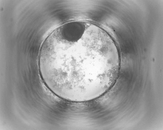 X0000088171338200705150941