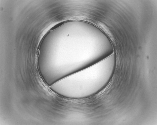 X0000088171340200705150941