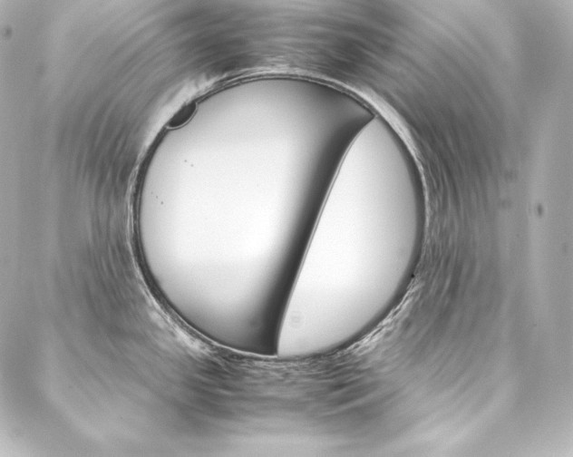 X0000088171341200705150941