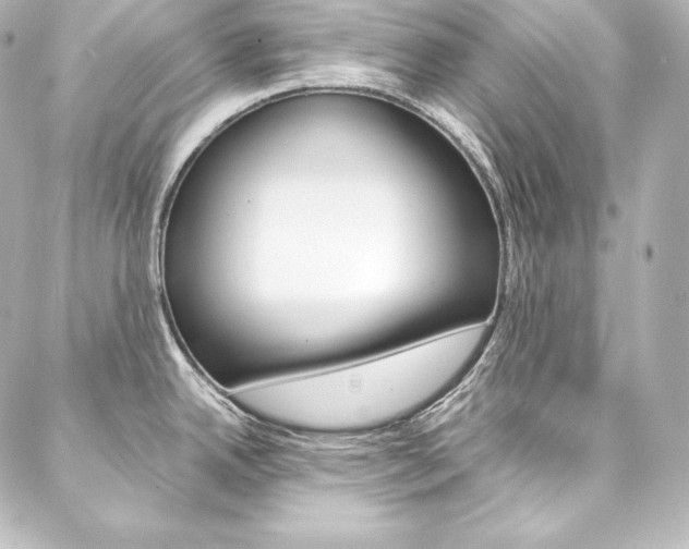 X0000088171342200705150941
