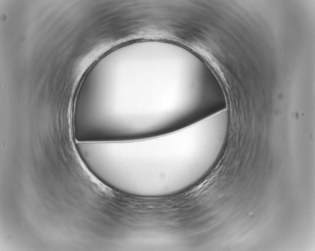 X0000088171343200705150941