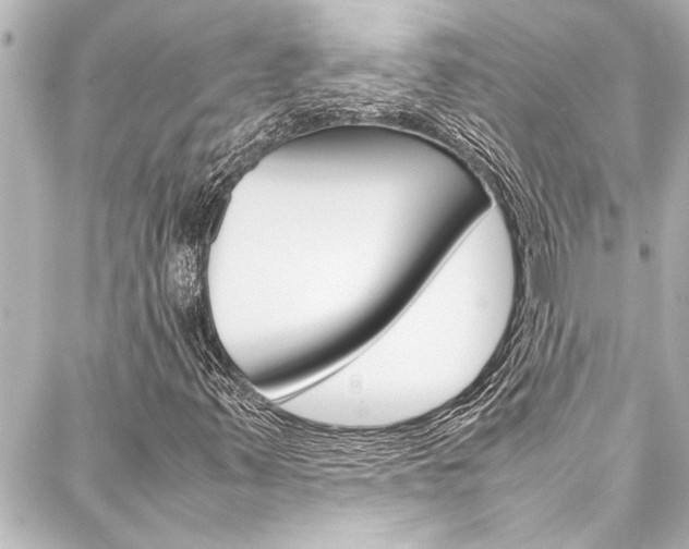 X0000088171347200705150940