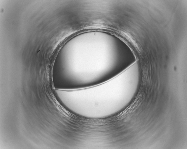 X0000088171356200705150940