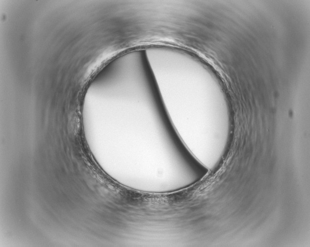 X0000088171363200705150940