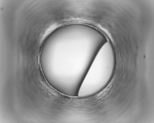 X0000088171365200705150940