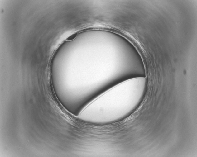 X0000088171367200705150940
