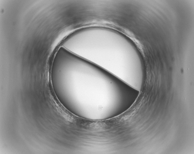 X0000088171368200705150940