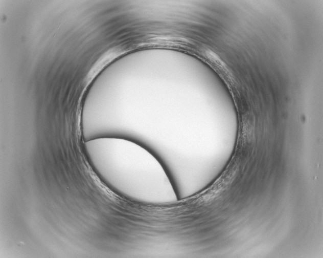 X0000088171370200705150940