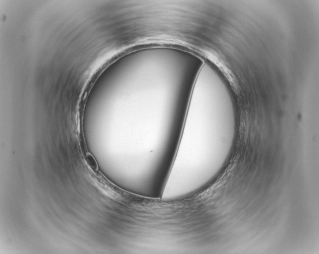 X0000088171372200705150940