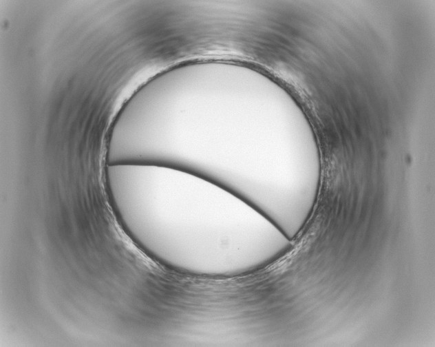 X0000088171374200705150940