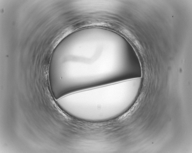 X0000088171377200705150940