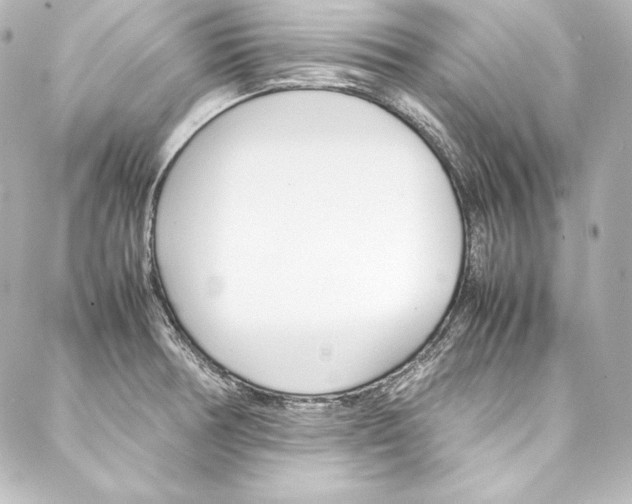 X0000088171378200705150940