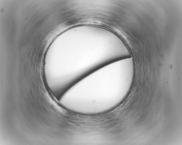 X0000088171379200705150940