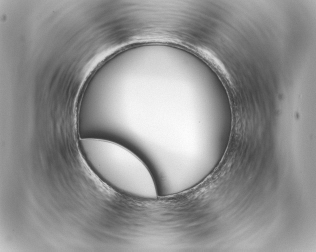 X0000088171380200705150940
