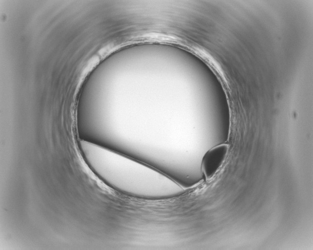 X0000088171381200705150940