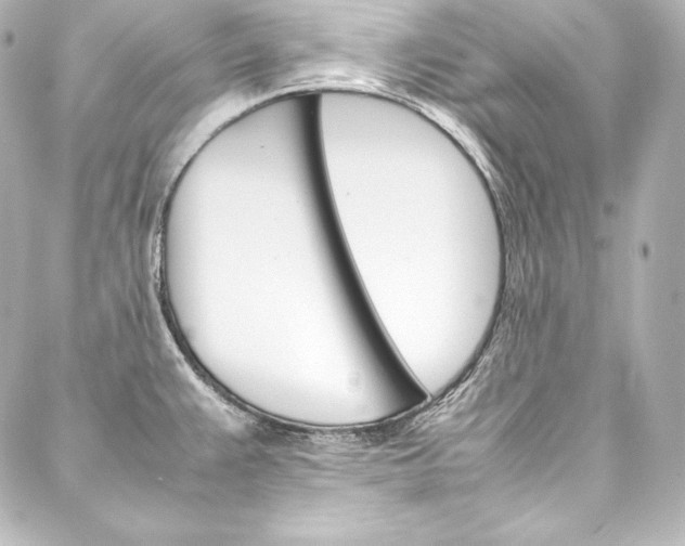 X0000088171383200705150940