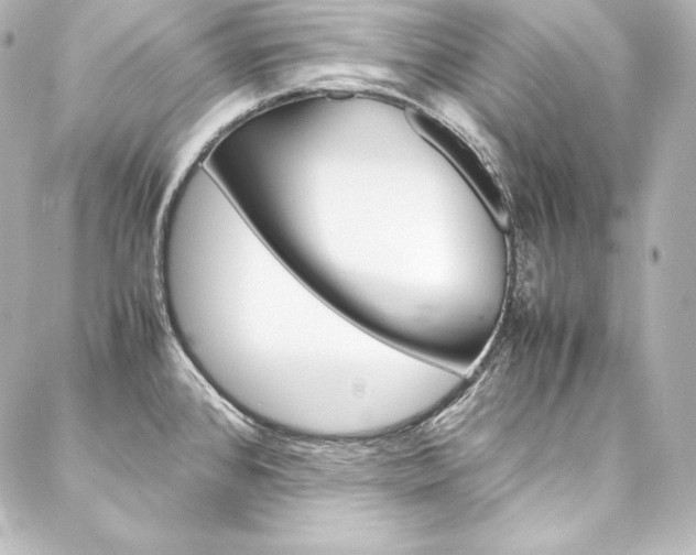X0000088171384200705150940