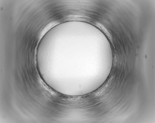 X0000088171386200705150940