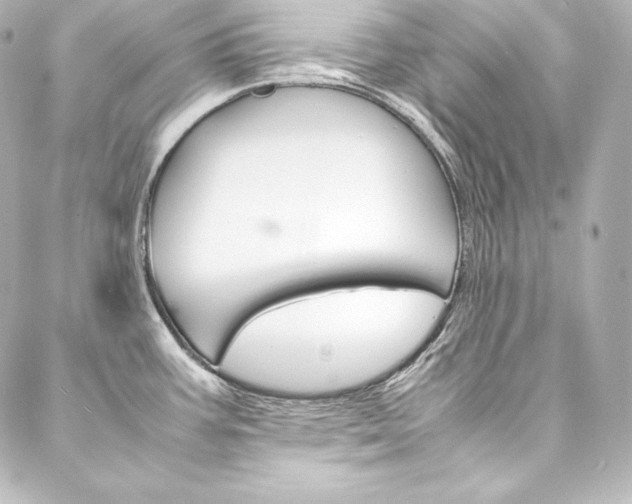 X0000088171387200705150940