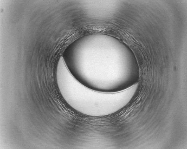 X0000088171394200705150939