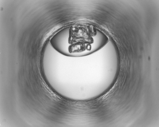 X0000088171410200705150939