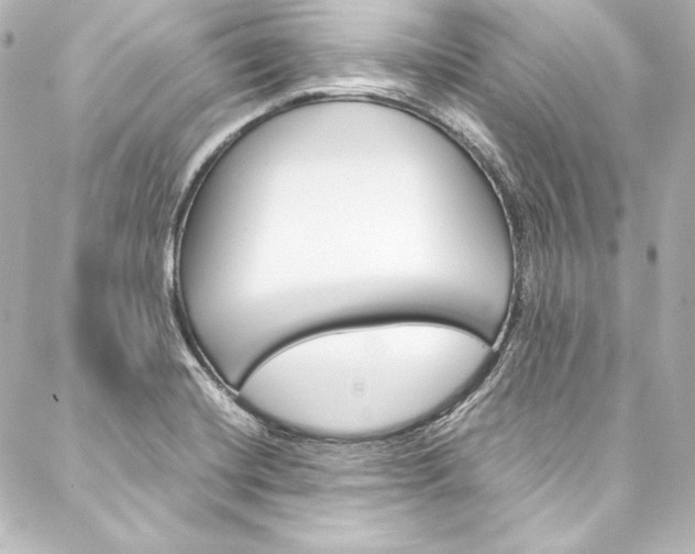 X0000088171420200705150939