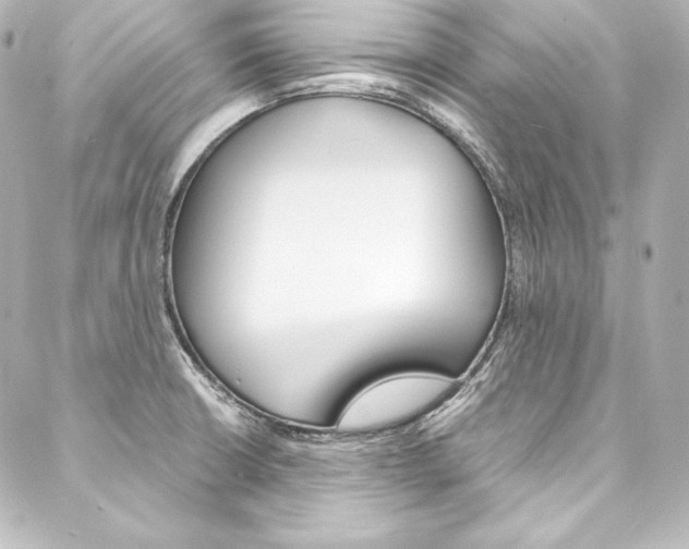 X0000088171426200705150939