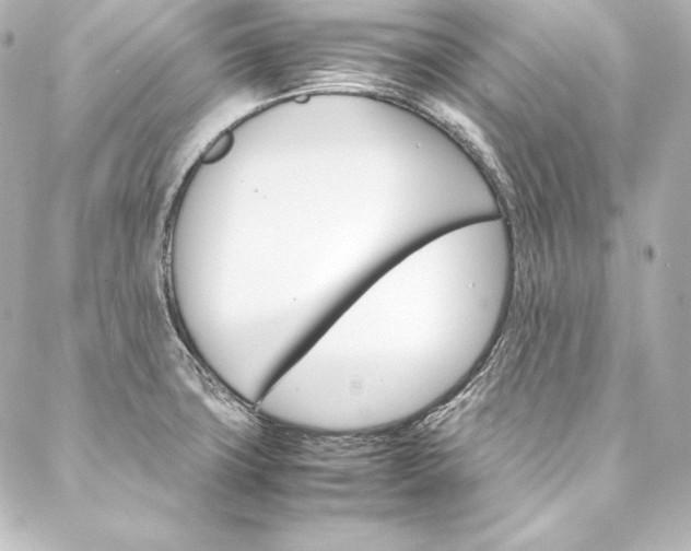 X0000088171427200705150939