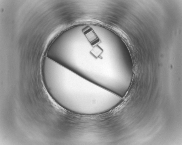 X0000088171430200705150939