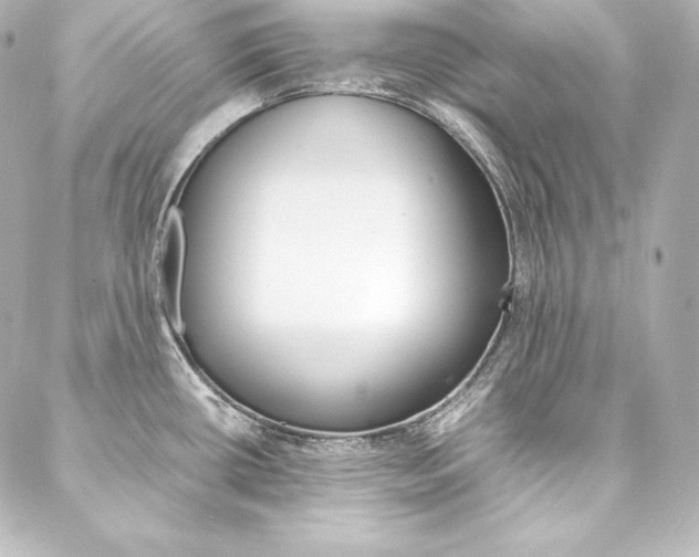 X0000088171434200705150939