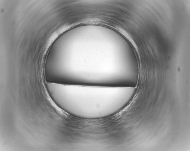 X0000088171437200705150939