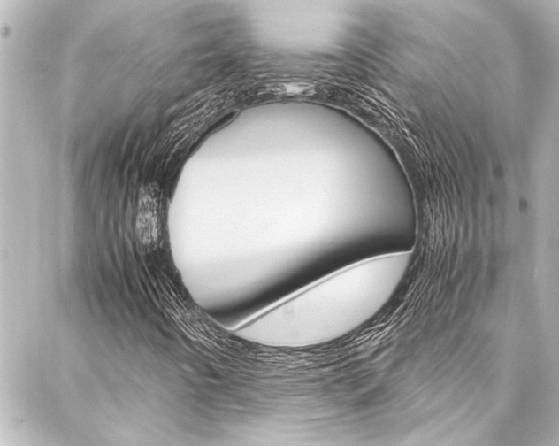 X0000088171442200705150939