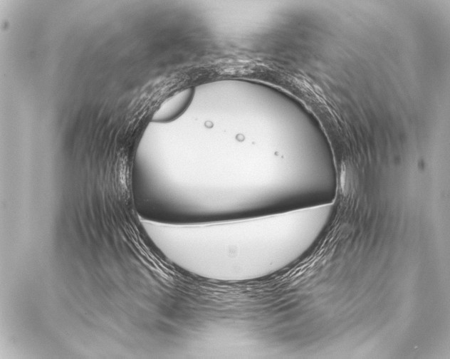 X0000088171444200705150939