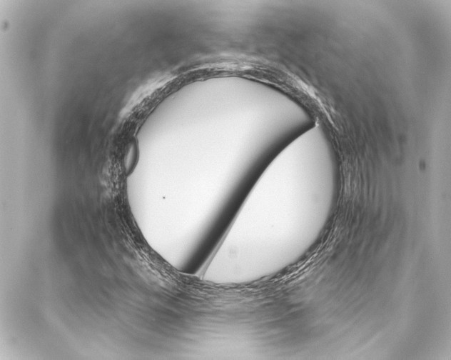 X0000088171448200705150939