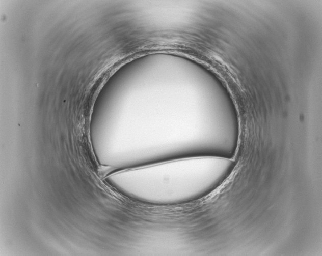 X0000088171449200705150939