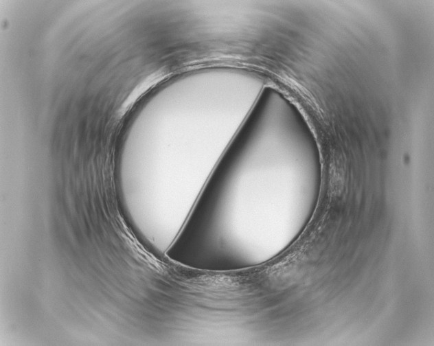 X0000088171450200705150939