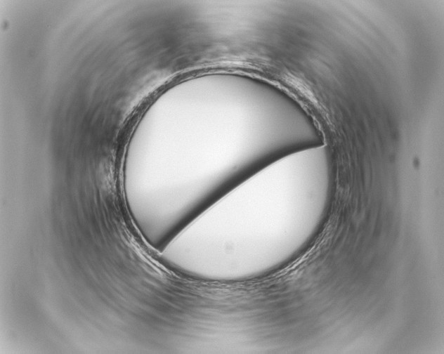 X0000088171452200705150938