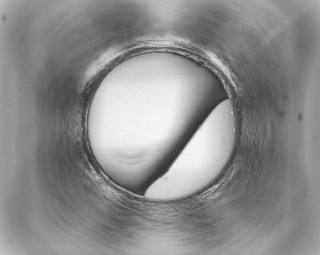 X0000088171456200705150938