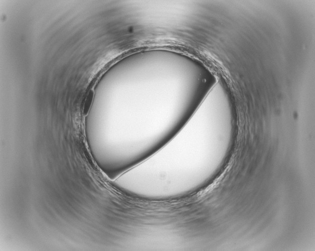 X0000088171457200705150938