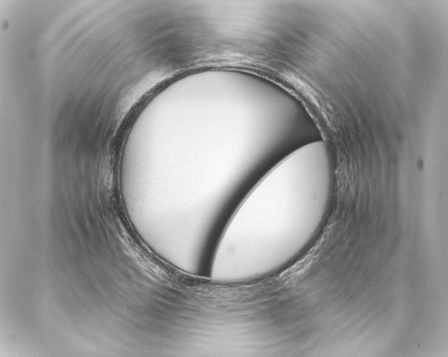 X0000088171458200705150938