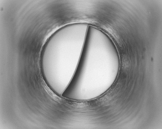 X0000088171460200705150938