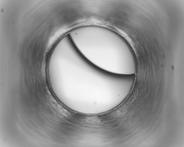 X0000088171464200705150938